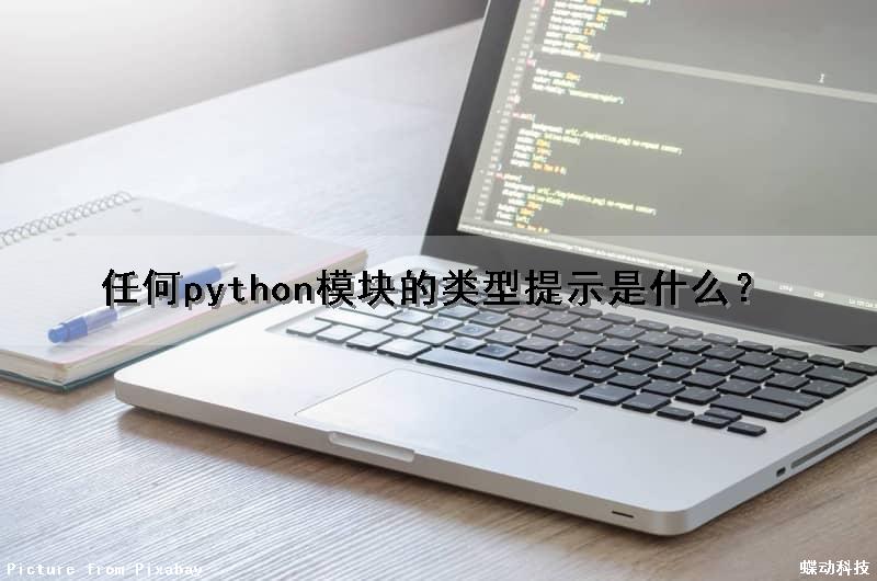 (任何)python模块的类型提示是什么？