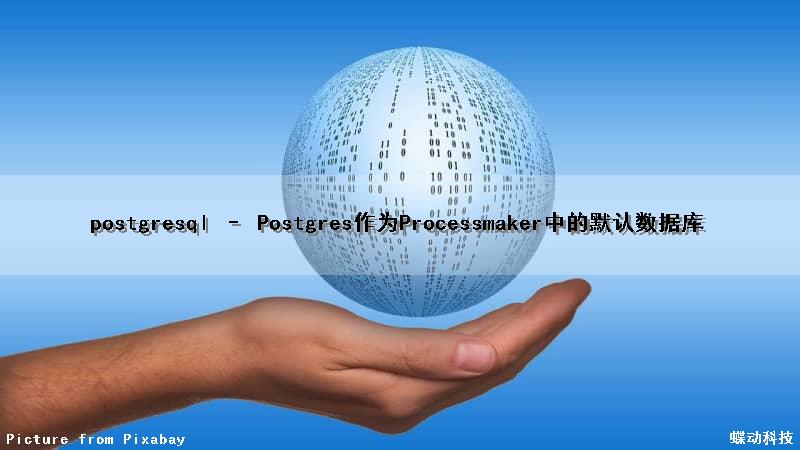 postgresql – Postgres作为Processmaker中的默认数据库