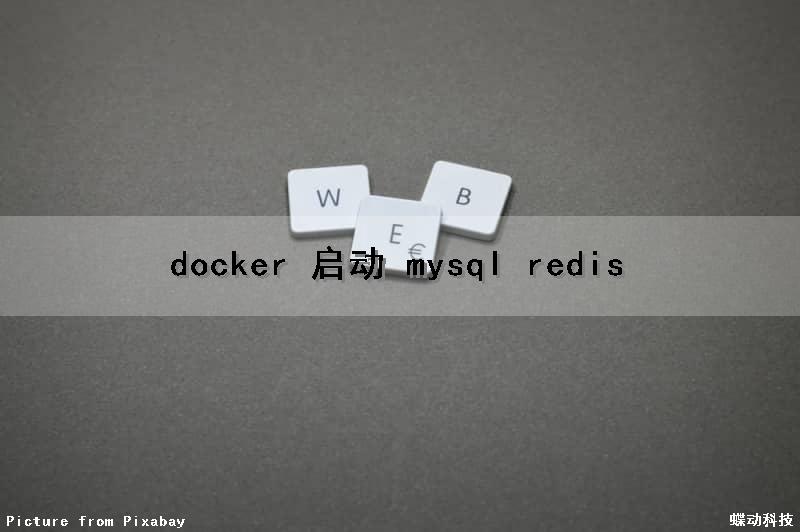 docker 启动 mysql redis