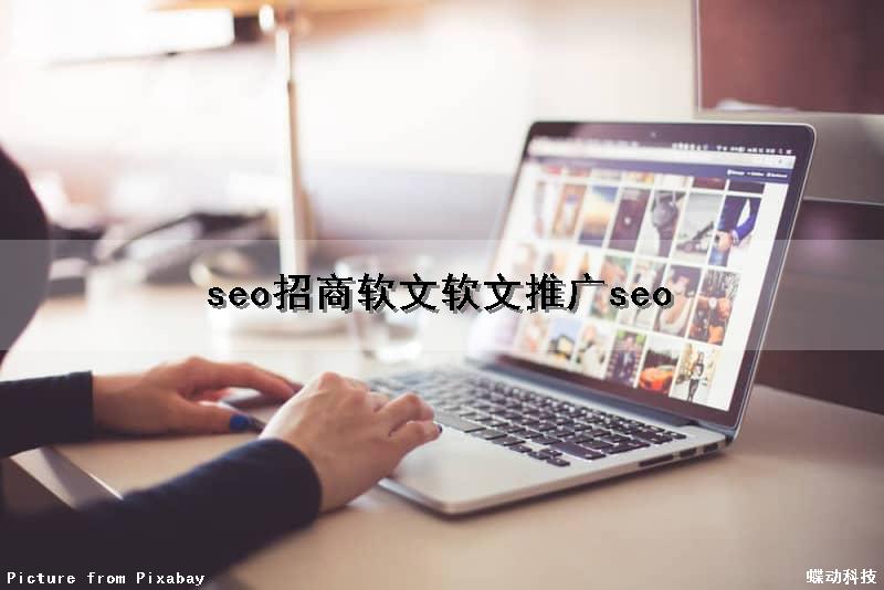 seo招商软文(软文推广seo)