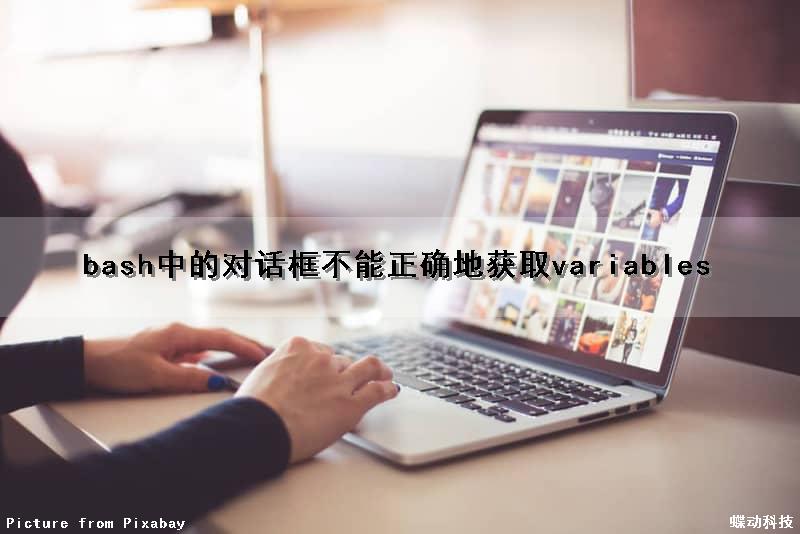 bash中的对话框不能正确地获取variables