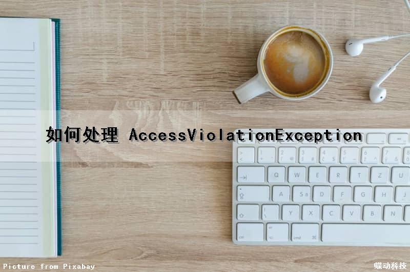 如何处理 AccessViolationException（如何处理家庭矛盾）