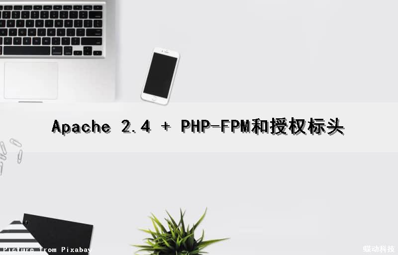 Apache 2.4 + PHP-FPM和授权标头