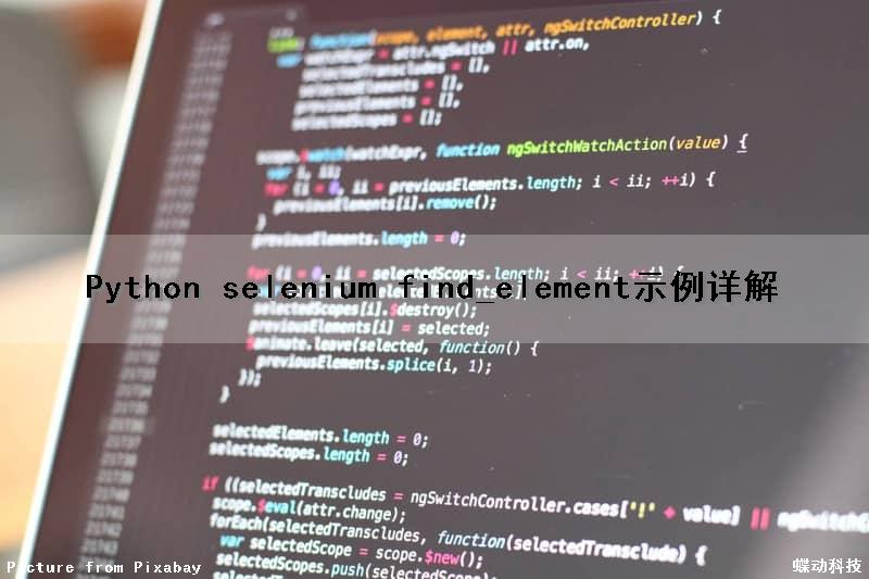 Python selenium find_element()示例详解