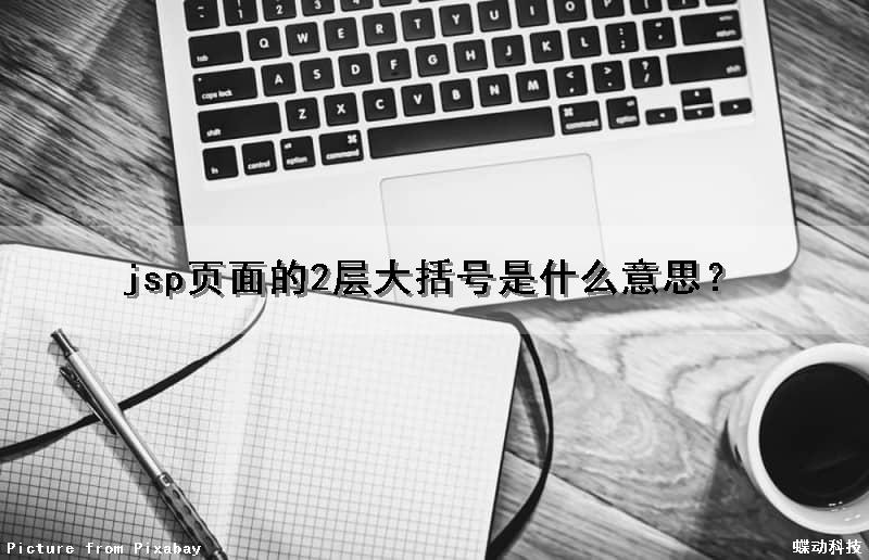 jsp页面的2层大括号是什么意思？