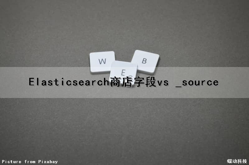 Elasticsearch商店字段vs _source（elasticsearch字段类型）
