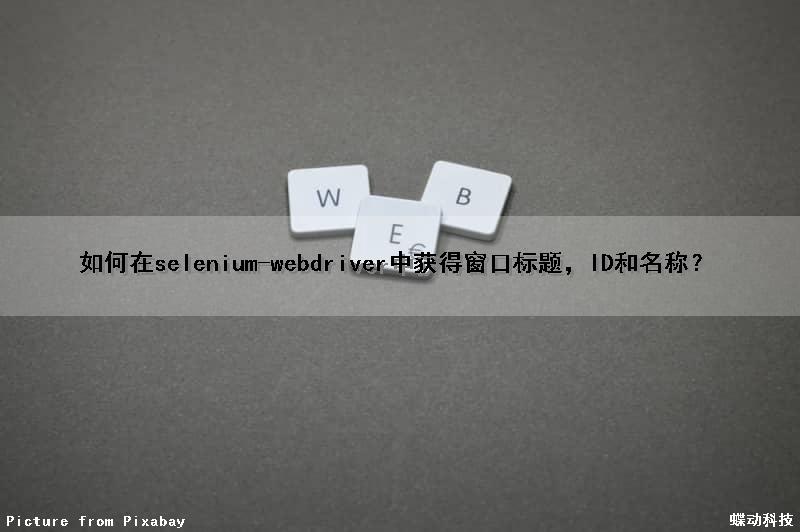 如何在selenium-webdriver中获得窗口标题，ID和名称？（selenium获取页面标题）