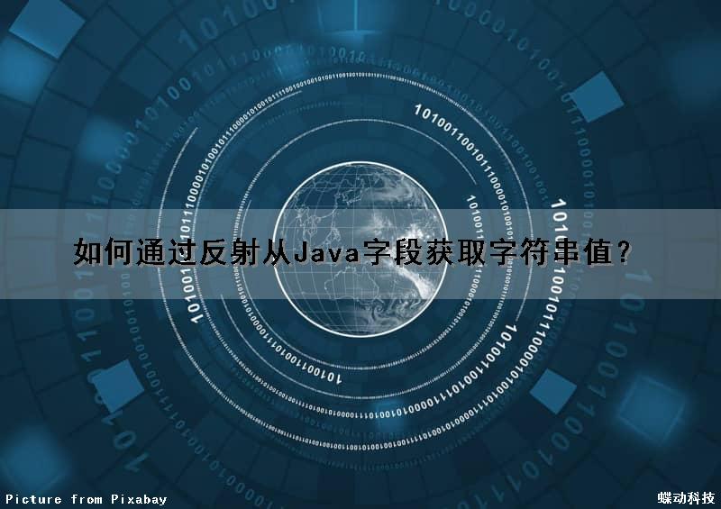 如何通过反射从Java字段获取字符串值？（如何通过反射从java字段获取字符串值数据）