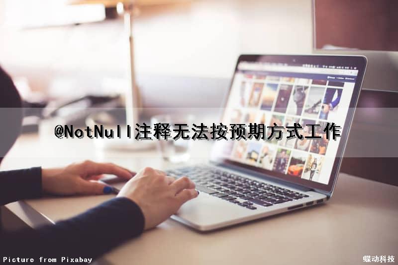 @NotNull注释无法按预期方式工作（notnull注解不生效）