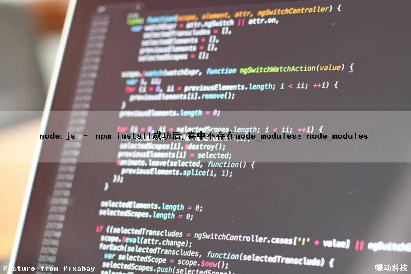 node.js – npm install成功后,卷中不存在node_modules：node_modules