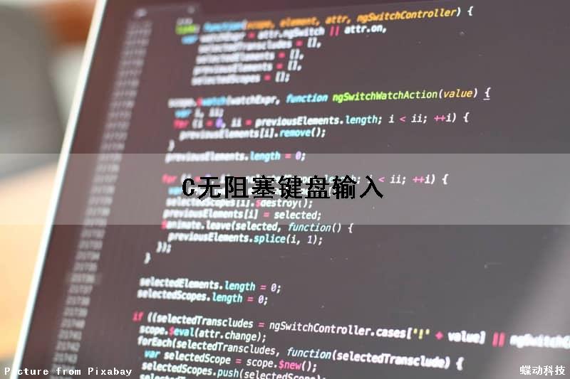C无阻塞键盘输入