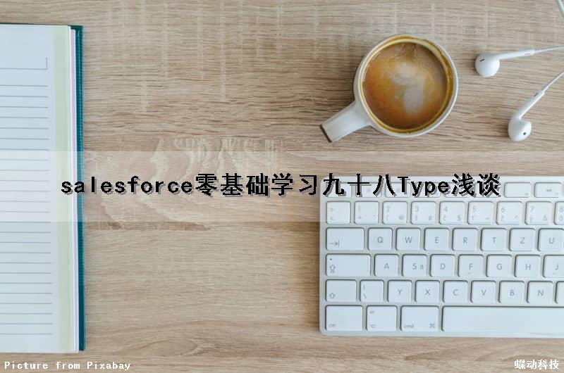 salesforce零基础学习（九十八）Type浅谈（sales type）