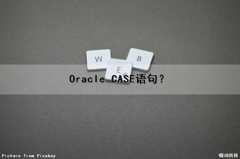Oracle CASE语句？（oraclecase语句）