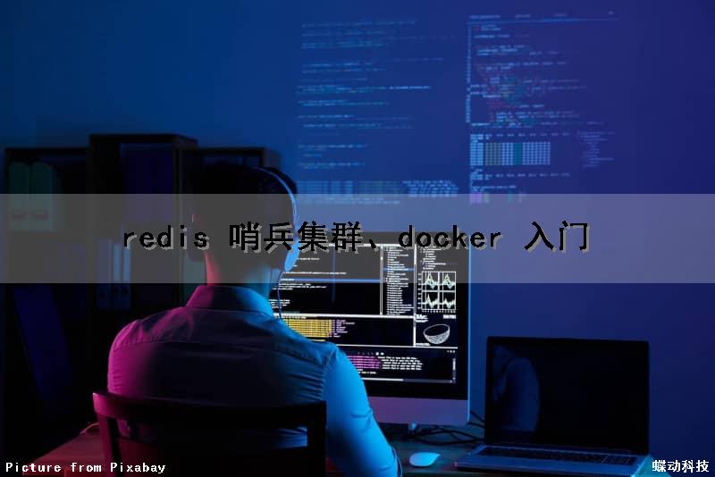 redis 哨兵集群、docker 入门（redis哨兵集群配置）