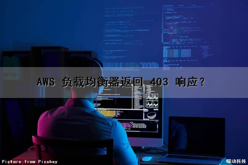 AWS 负载均衡器返回 403 响应？
