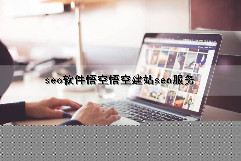 seo软件悟空(悟空建站seo服务)（悟空建站是什么软件）