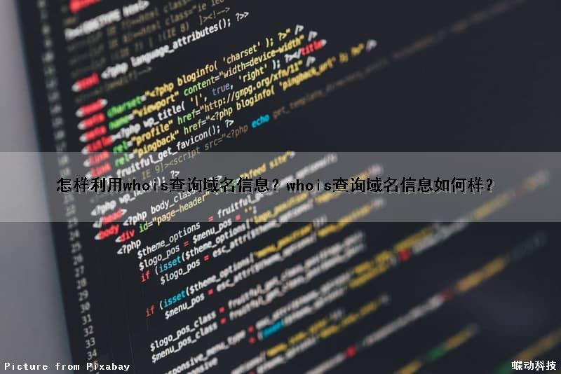 怎样利用whois查询域名信息？whois查询域名信息如何样？（怎么使用whois查询域名）