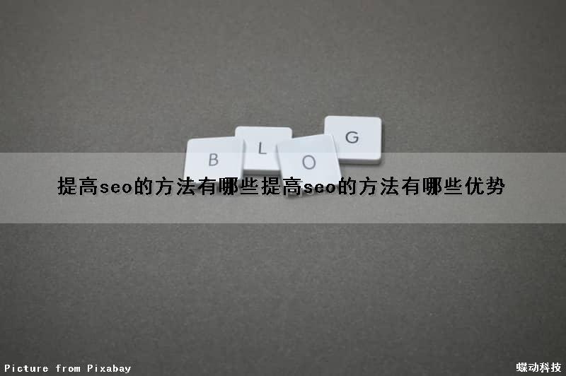 提高seo的方法有哪些(提高seo的方法有哪些优势)（seo如何提高）