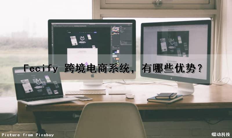 Fecify 跨境电商系统，有哪些优势？