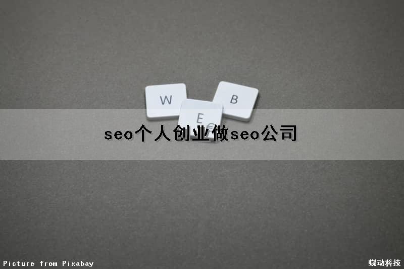 seo个人创业(做seo公司)