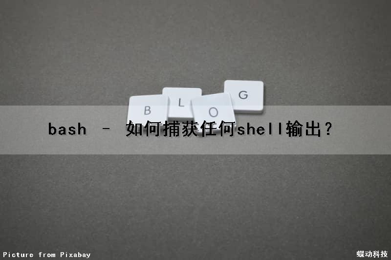 bash – 如何捕获任何shell输出？