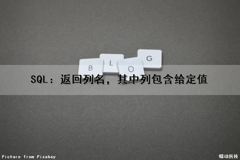 SQL：返回列名，其中列包含给定值（sql 返回列名）