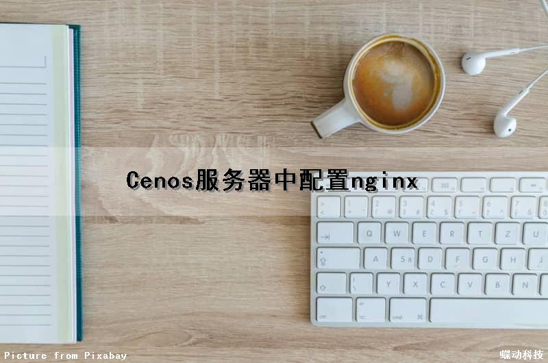 Cenos服务器中配置nginx