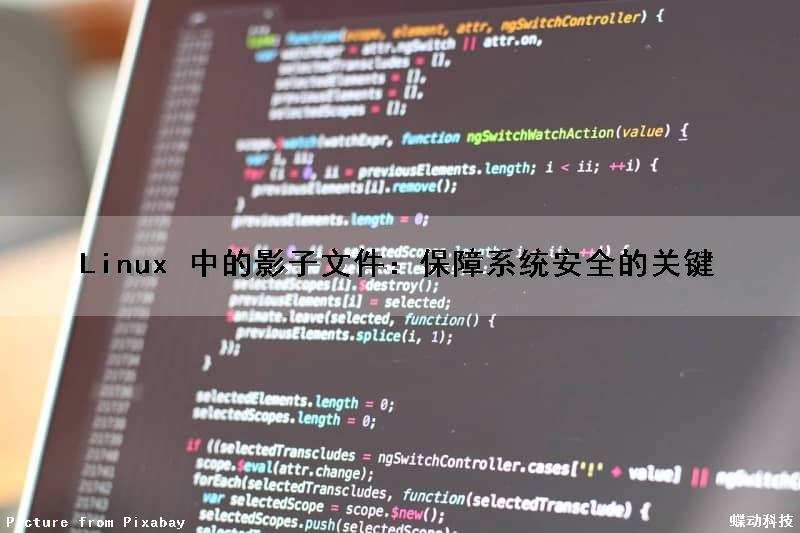 Linux 中的影子文件：保障系统安全的关键