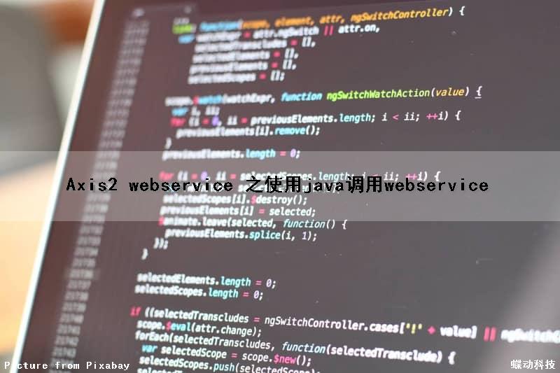 Axis2 webservice 之使用java调用webservice