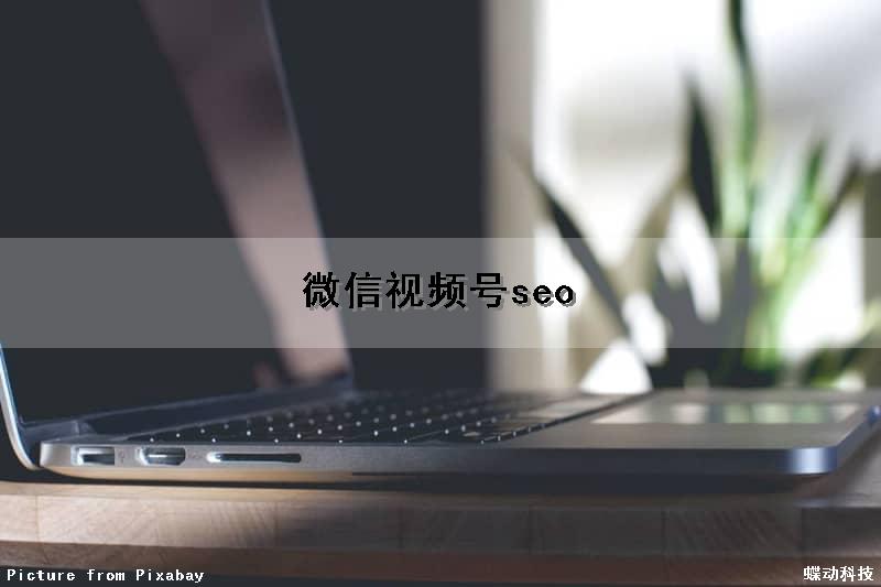 微信视频号seo（微信视频号seo搜索排名）