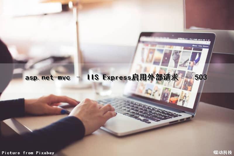 asp.net-mvc – IIS Express启用外部请求 – 503