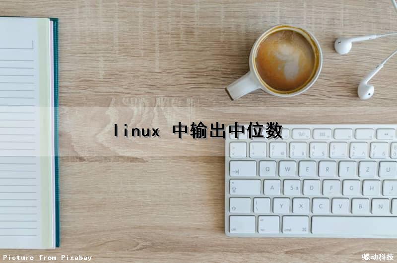 linux 中输出中位数（linux 标准输出）