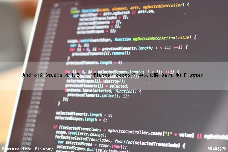 Android Studio 4.1.2 - “flutter doctor”中未安装 Dart 和 Flutter