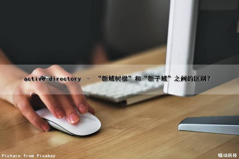 active-directory – “新域树根”和“新子域”之间的区别？