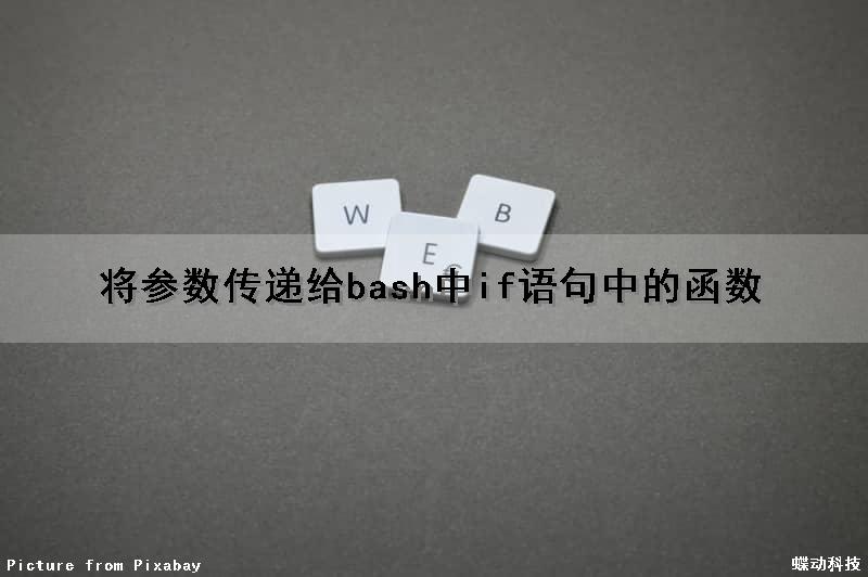 将参数传递给bash中if语句中的函数（参数char*如何传参）
