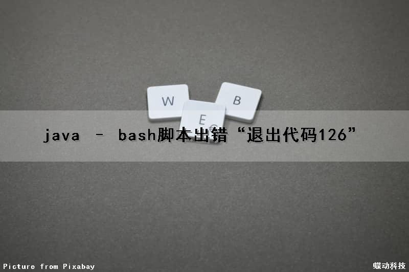 java – bash脚本出错“退出代码126”