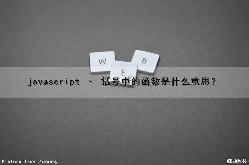 javascript – 括号中的函数是什么意思？