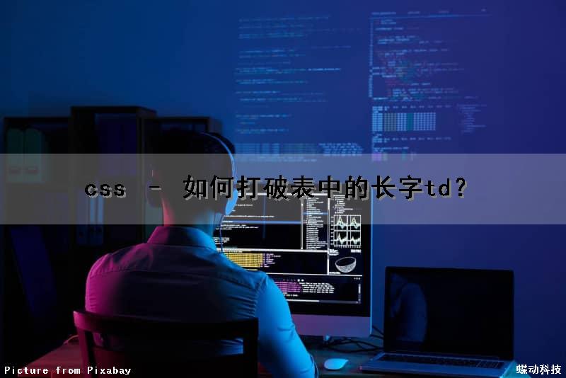 css – 如何打破表中的长字td？