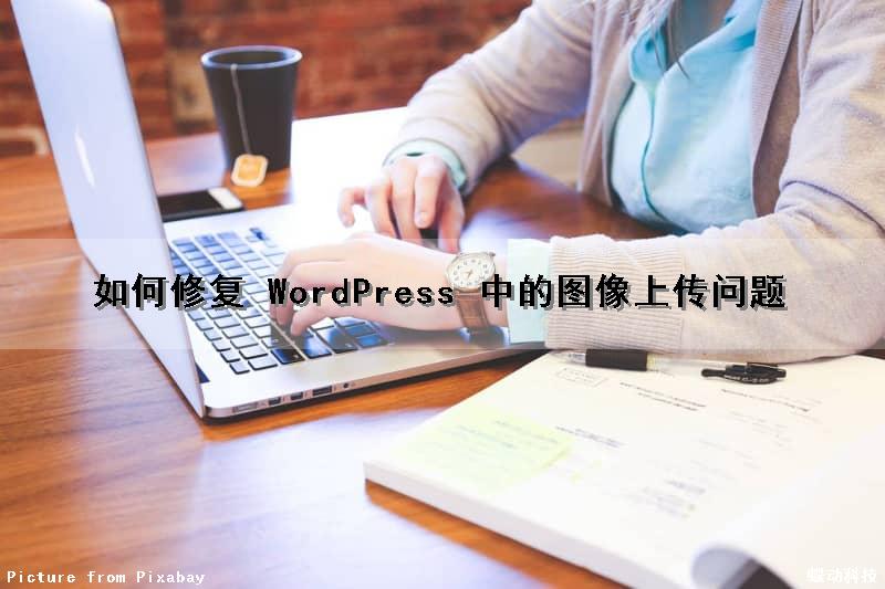 如何修复 WordPress 中的图像上传问题（wordpress图片上传）