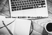Apache Camel-拆分和聚合-旧Exchange始终为null