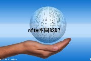 nftw不同BSD？（nfts和nft）