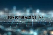 网络软件的组成是什么？（网络软件的组成是什么）