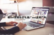 做seo需要会什么推广(seo是推广吗)（做seo推广赚钱吗）