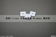真爱！Linux 子系统登陆 Windows 服务器（linux子系统怎么用）