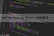 SAP Marketing Cloud 功能概述(一)（sap consumer industry cloud）