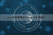 Java中的参数化Oracle SQL查询？（java 参数化类型）