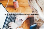 如何使用硒连接到Chromium Headless（硒怎么使用）