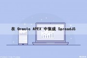 在 Oracle APEX 中集成 SpreadJS（oracle的apex如何）