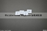 停止从Selenium Webdriver加载浏览器（selenium停止网页加载）
