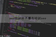 seo培训好不(哪有培训seo)（seo哪里有培训）